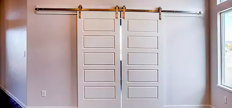 Glass Barn Door with Installation Hardware Kit Lawndale