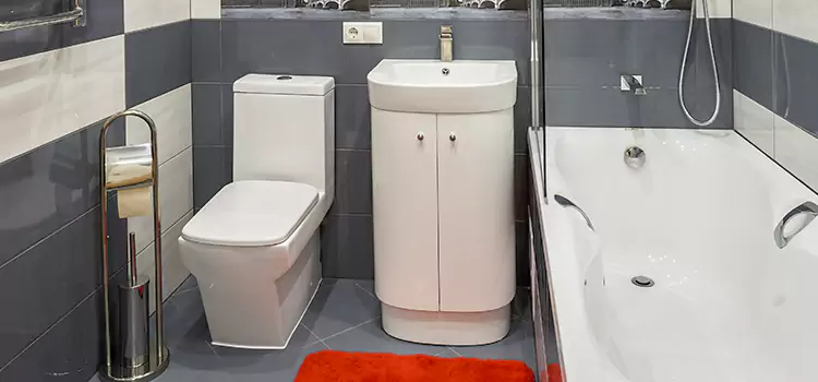 Hansgrohe Shaving Mirror Lawndale